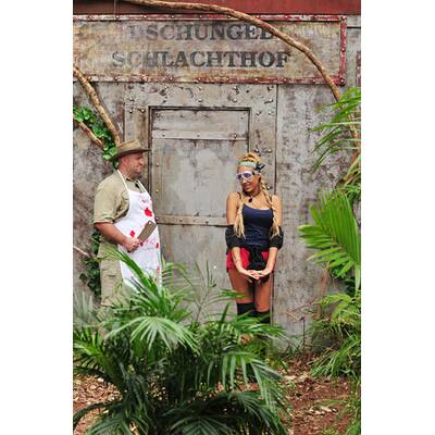 Der siebente Tag im Dschungelcamp