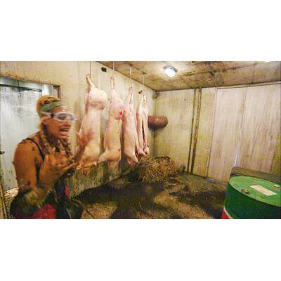 Der siebente Tag im Dschungelcamp