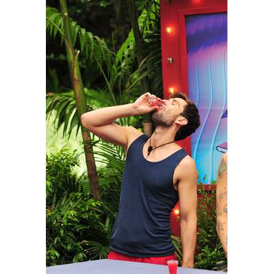 Der achte Tag im Dschungelcamp