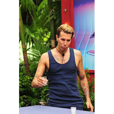 Der achte Tag im Dschungelcamp