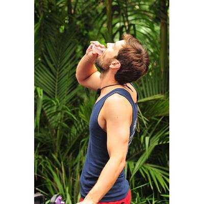 Der achte Tag im Dschungelcamp