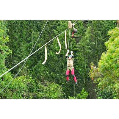 Der neunte Tag im Dschungelcmap