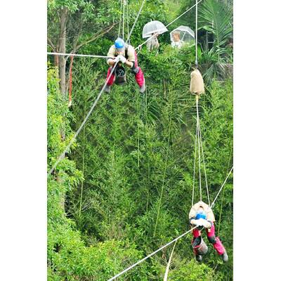 Der neunte Tag im Dschungelcmap