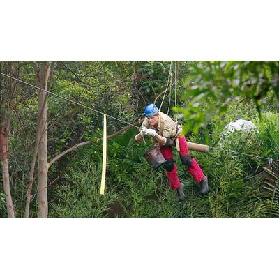 Der neunte Tag im Dschungelcmap