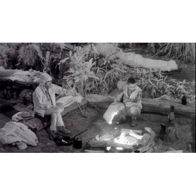 Der neunte Tag im Dschungelcmap