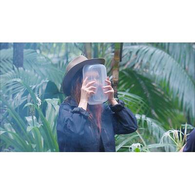 Der neunte Tag im Dschungelcmap