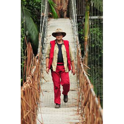 Der zehnte Tag im Dschungelcmap