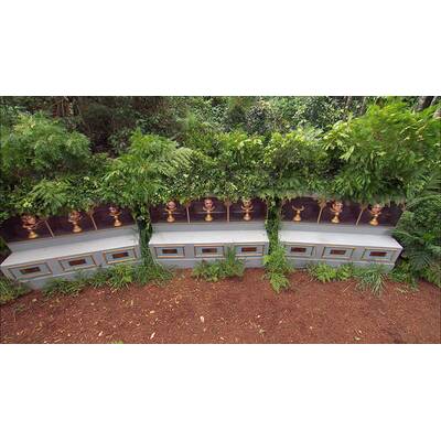 Der zehnte Tag im Dschungelcmap