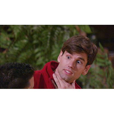 Der elfte Tag im Dschungelcamp