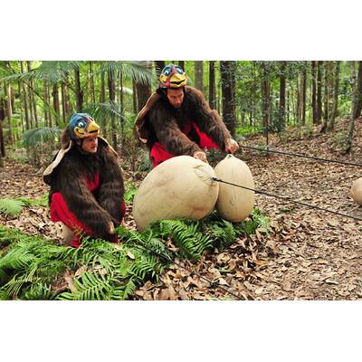 Der dreizehnte Tag im Dschungelcamp