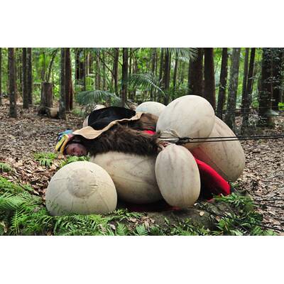 Der dreizehnte Tag im Dschungelcamp