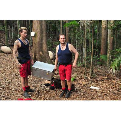 Der dreizehnte Tag im Dschungelcamp