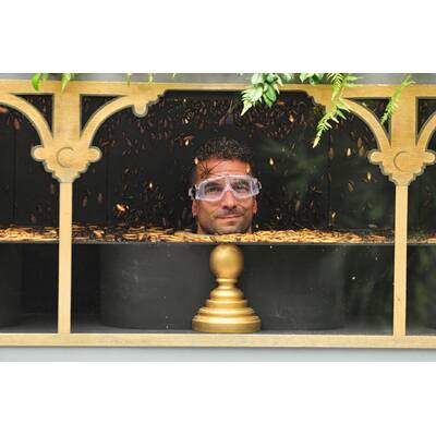 Der dreizehnte Tag im Dschungelcamp