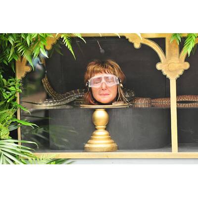 Der dreizehnte Tag im Dschungelcamp