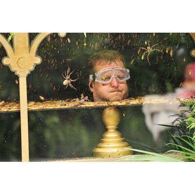 Der dreizehnte Tag im Dschungelcamp