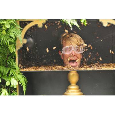 Der dreizehnte Tag im Dschungelcamp