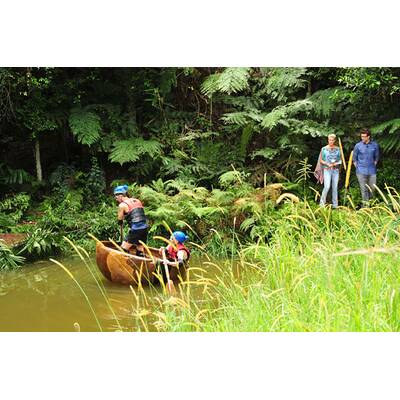 Der vierzehnte Tag im Dschungelcamp