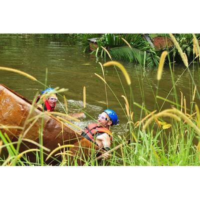 Der vierzehnte Tag im Dschungelcamp