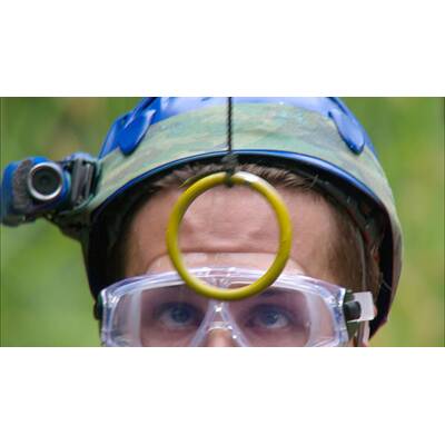 Der vierzehnte Tag im Dschungelcamp