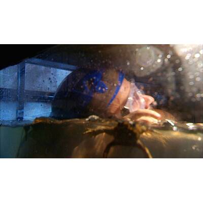 Der fünfzehnte Tag im Dschungelcamp