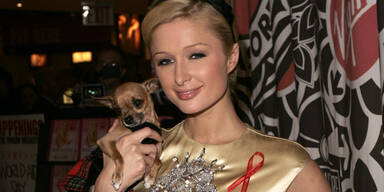 Paris Hilton, Tinkerbell