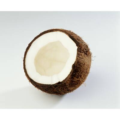 Lebensmittel ohne Kohlenhydrate