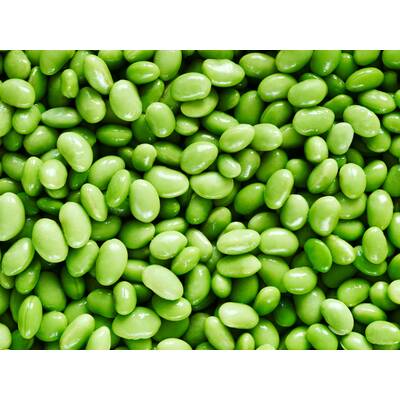 Lebensmittel ohne Kohlenhydrate