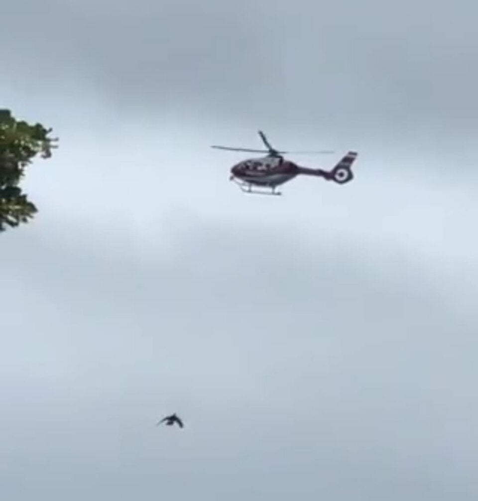 Wega-Einsatz und Polizei-Hubschrauber in Wien-Favoriten