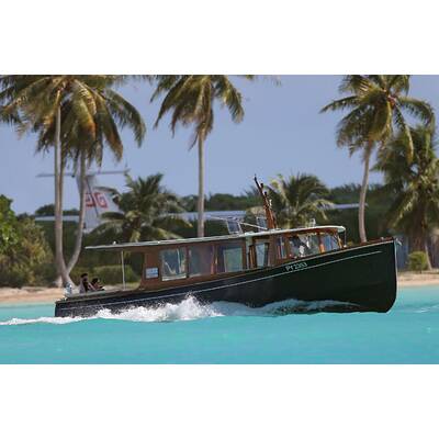 Benedict Cumberbatch & Sophie Hunter genießen die Flitterwochen