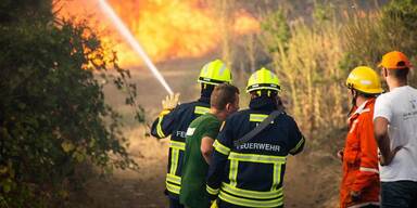 H&ouml;chste Waldbrand-Gefahr im Land &ndash; absolutes Feuerverbot in allen Bezirken
