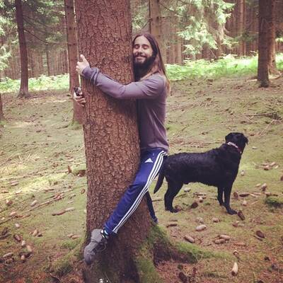 Rette sich, wer kann!