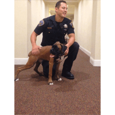 Das ist der heißeste Polizist der Welt! 