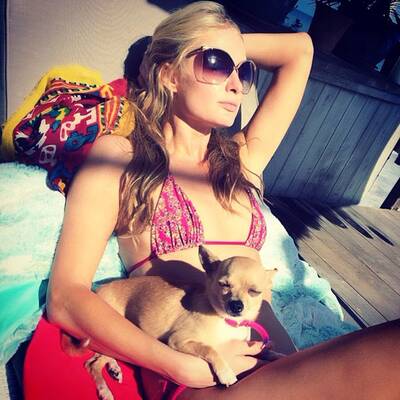 Rette sich, wer kann!