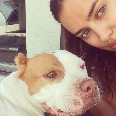 Rette sich, wer kann!