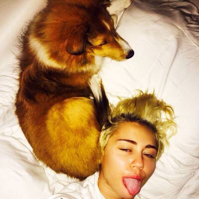 Rette sich, wer kann!