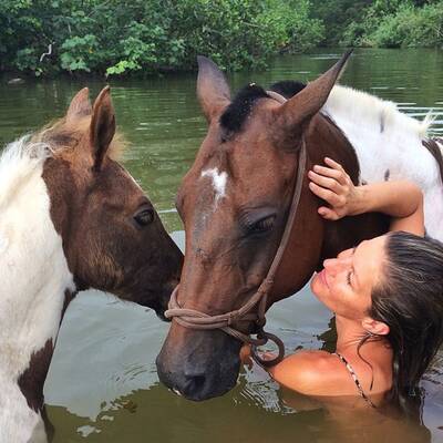 Rette sich, wer kann!