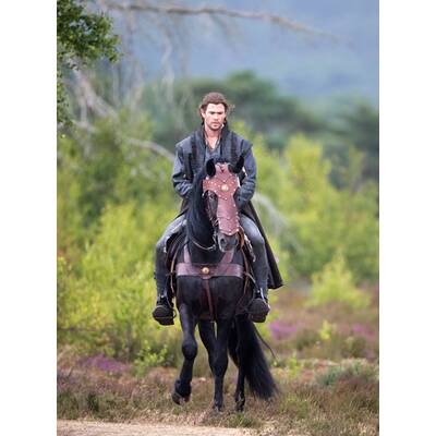 Chris Hemworth: Hoch zu Ross für 