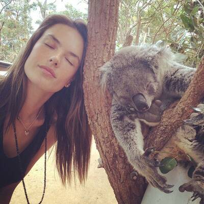 Rette sich, wer kann!