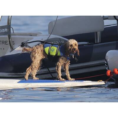 Sylvester Stallone: Familien-Urlaub in Frankreich