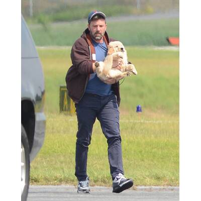 Ben Affleck: Süßes Hündchen nach Ehe-Aus