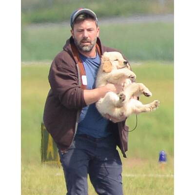Ben Affleck: Süßes Hündchen nach Ehe-Aus