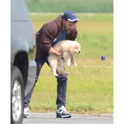 Ben Affleck: Süßes Hündchen nach Ehe-Aus