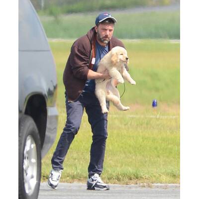 Ben Affleck: Süßes Hündchen nach Ehe-Aus