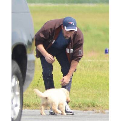 Ben Affleck: Süßes Hündchen nach Ehe-Aus