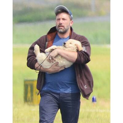 Ben Affleck: Süßes Hündchen nach Ehe-Aus