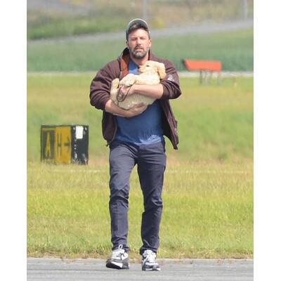 Ben Affleck: Süßes Hündchen nach Ehe-Aus