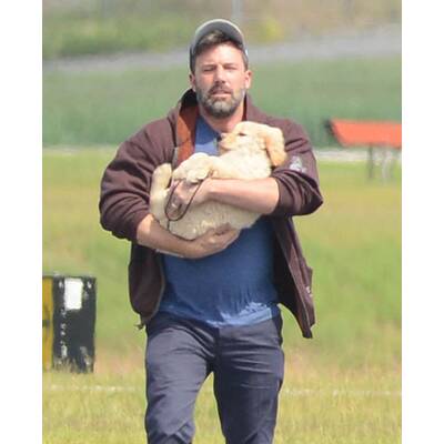 Ben Affleck: Süßes Hündchen nach Ehe-Aus