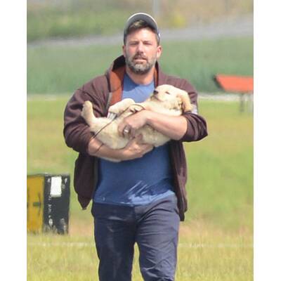 Ben Affleck: Süßes Hündchen nach Ehe-Aus