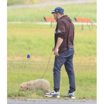 Ben Affleck: Süßes Hündchen nach Ehe-Aus