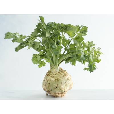 Lebensmittel ohne Kohlenhydrate